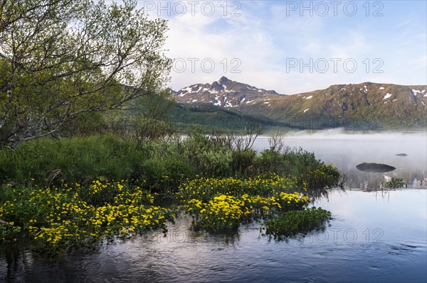 Landscape in the Lofoten Islands. Lake Lilandsvatnet with mountains in the background. Yellow