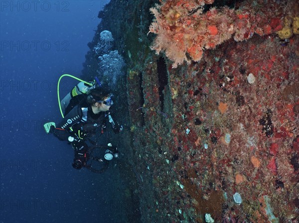 Diver looking into the porthole of the wreck of the USS Spiegel Grove, dive site John Pennekamp