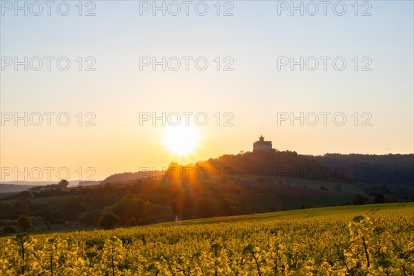 Landscape at sunrise. Beautiful morning landscape with fresh yellow rape fields in spring. Small