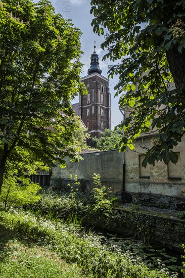 Roman Catholic parish church of St Peter and Paul, an important Gothic building in Namyslow