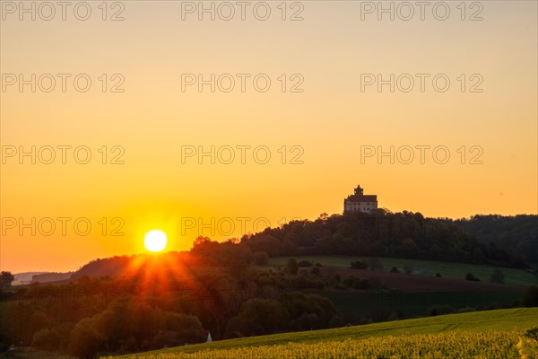 Landscape at sunrise. Beautiful morning landscape with fresh yellow rape fields in spring. Small