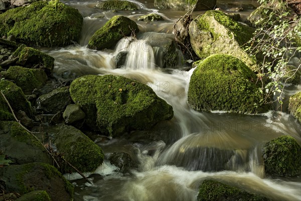 Mountain stream in the forest with mossy basalt rocks, blocks of basalt in the stream bed, Tertiary