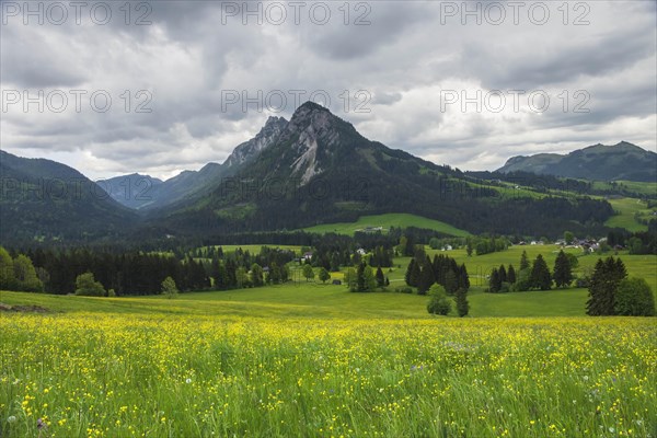 Summer austrian landscape with green meadows and impressive mountains, view from small alpine