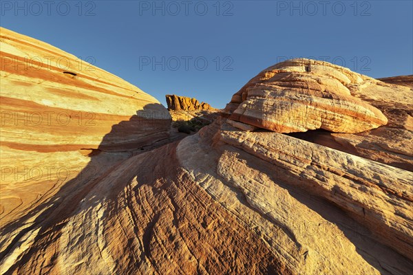 Fire Wave, Valley of Fire State Park, Nevada, United States, USA, Valley of Fire, Nevada, USA,