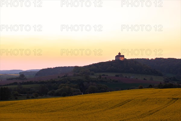 Landscape at sunrise. Beautiful morning landscape with fresh yellow rape fields in spring. Small