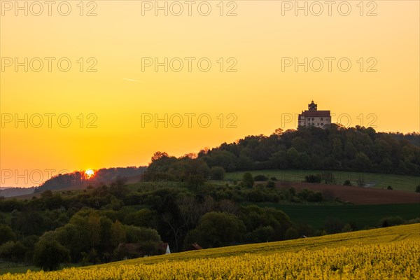 Landscape at sunrise. Beautiful morning landscape with fresh yellow rape fields in spring. Small