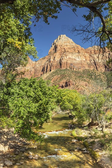 View from Virgin River to Watchman Mountain, Zion National Park, Colorado Plateau, Utah, USA, Zion