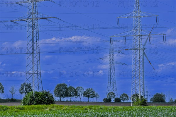 Power pylons with high-voltage lines on the K63 road with trees at the Avacon substation Helmstedt,