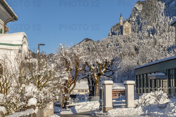Neuschwanstein Castle, Schwangau near Fuessen, Allgaeu, Bavaria, Germany, Fuessen, Bavaria,