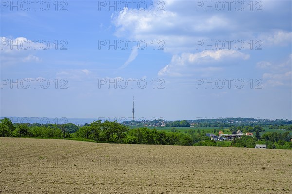 Uncultivated field on the Schoenfelder Hochland near Dresden, Saxony, Germany, in the background