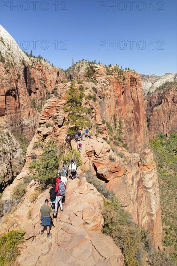 Descent from Angels Landing, Zion National Park, Colorado Plateau, Utah, USA, Zion National Park,