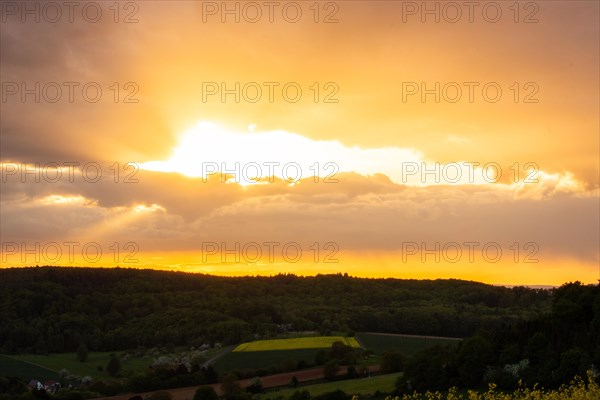 Landscape at sunrise. Beautiful morning landscape with fresh yellow rape fields in spring. Small
