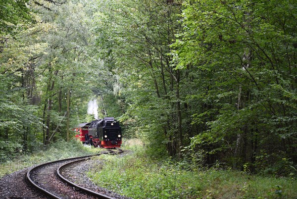 The Harz Narrow Gauge Railway, Brocken Railway, Selketal Railway in the Harz Mountains,