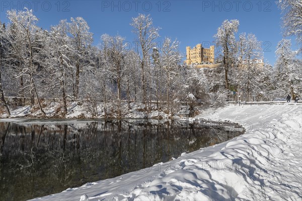Hohenschwangau Castle, Schwangau near Fuessen, Allgaeu, Bavaria, Germany, Fuessen, Bavaria,