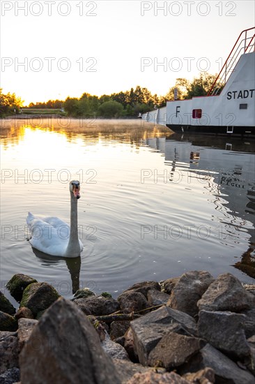 View of a river and its bank. the way to the city with a ferry. Landscape photograph of