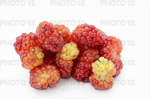 Strawberry spinach (Chenopodium foliosum, Blitum virgatum), fruits on a white background, vegetable