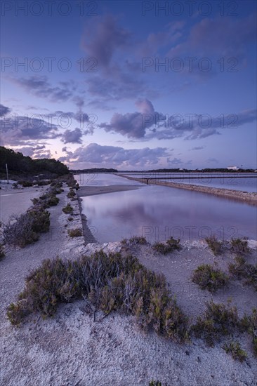 Parc Natural de Ses Salines d?Eivissa i Formentera, Formentera, Pitiusas Islands, Balearic