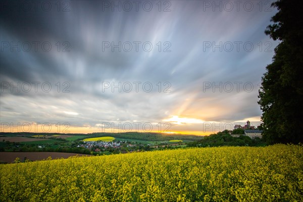 Landscape at sunrise. Beautiful morning landscape with fresh yellow rape fields in spring. Small