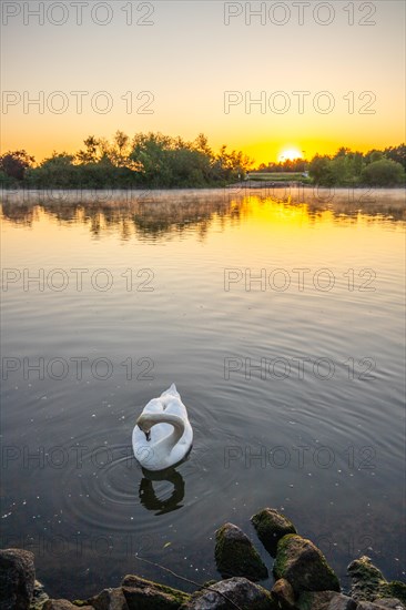 View of a river and its bank. the way to the city with a ferry. Landscape photograph of