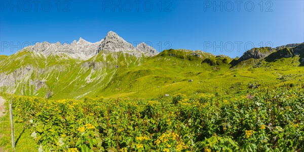 Panorama from the Kemptner Huette, 1844m, to the Muttlerkopf, 2368m, Allgaeu Alps, Allgaeu,