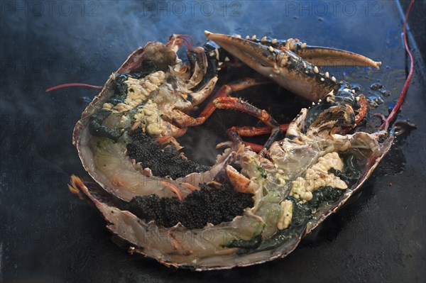 Grilled lobster (homarus) with kabviar and vegetables on a plancha, Atlantic coast, Vandee, France,