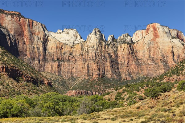 The West Temple, Zion National Park, Colorado Plateau, Utah, USA, Zion National Park, Utah, USA,