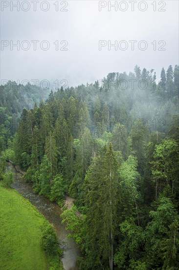 Misty natural landscape and view down into the Eistobel in the nature reserve of the same name in