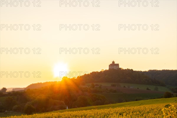 Landscape at sunrise. Beautiful morning landscape with fresh yellow rape fields in spring. Small