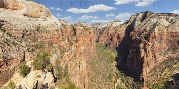 View of Zion Canyon from Angels Landing, Zion National Park, Colorado Plateau, Utah, USA, Zion