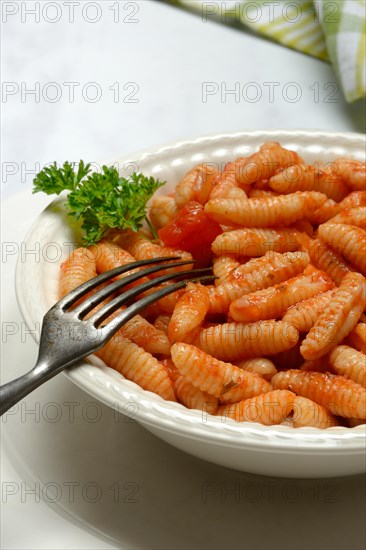 Malloreddus, Sardinian gnocchetti with tomato sauce in a plate, traditional pasta variety from