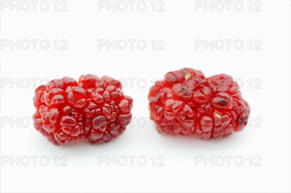 Strawberry spinach (Chenopodium foliosum, Blitum virgatum), fruits on a white background, vegetable