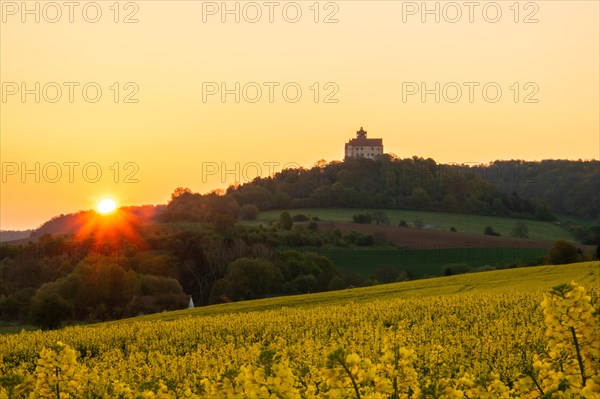 Landscape at sunrise. Beautiful morning landscape with fresh yellow rape fields in spring. Small