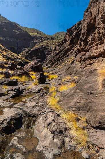 Beautiful river on the way up to Charco Azul in the Podemos to Agaete in Gran Canaria, Canary