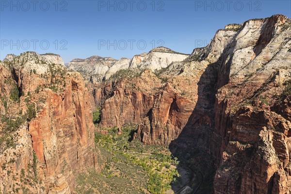 View of Zion Canyon from Angels Landing, Zion National Park, Colorado Plateau, Utah, USA, Zion