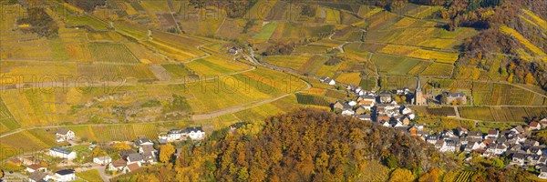 Vineyards in autumn, Mayschoss with parish church, red wine growing region Ahrtal, red wine of the