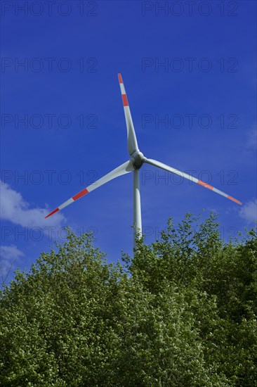 Wind turbine behind green trees at the Avacon substation Helmstedt, Helmstedt, Lower Saxony,