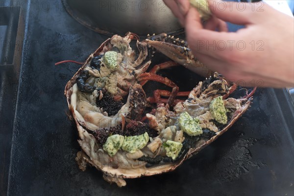 Cooked lobster (homarus) with caviar, vegetables and garlic butter on a plancha, Atlantic coast,