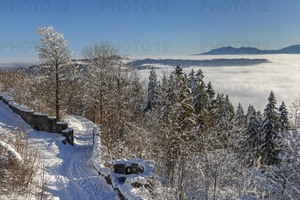 View from the Eisenberg castle ruins towards Fuessen, Allgaeu, Swabia, Bavaria, Germany, Pfronten,
