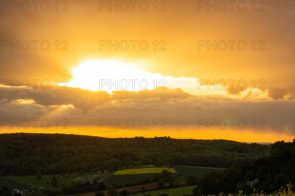 Landscape at sunrise. Beautiful morning landscape with fresh yellow rape fields in spring. Small