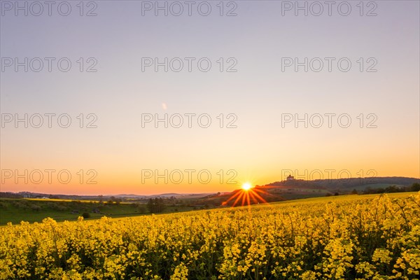 Landscape at sunrise. Beautiful morning landscape with fresh yellow rape fields in spring. Small