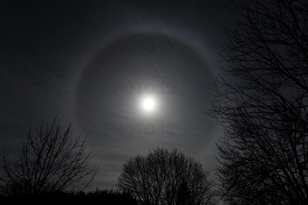 Nature, astronomy, halo during the total solar eclipse 2024, Province of Quebec, Canada, North