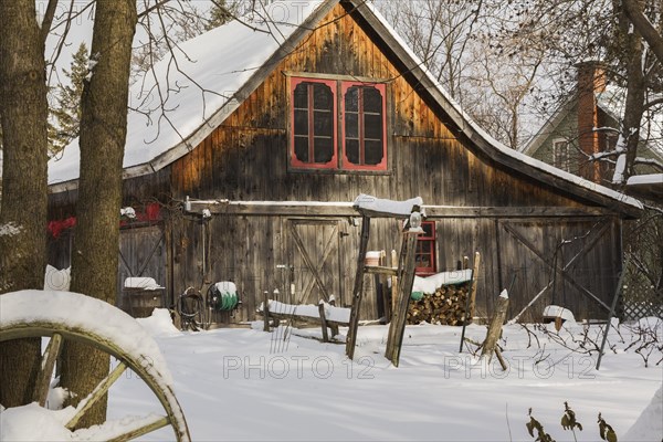Old wooden rustic barn with red trimmed windows framed by trees in backyard garden in winter,
