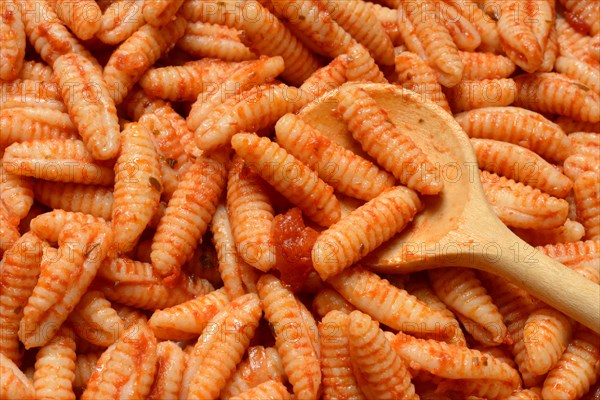 Malloreddus, Sardinian gnocchetti with tomato sauce, traditional type of pasta from Sardinia,