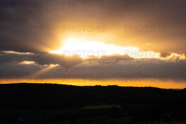 Landscape at sunrise. Beautiful morning landscape with fresh yellow rape fields in spring. Small
