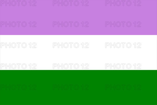 Illustration of the Genderqueer Pride Flag. Movement LGBT. Symbol of sexual minorities