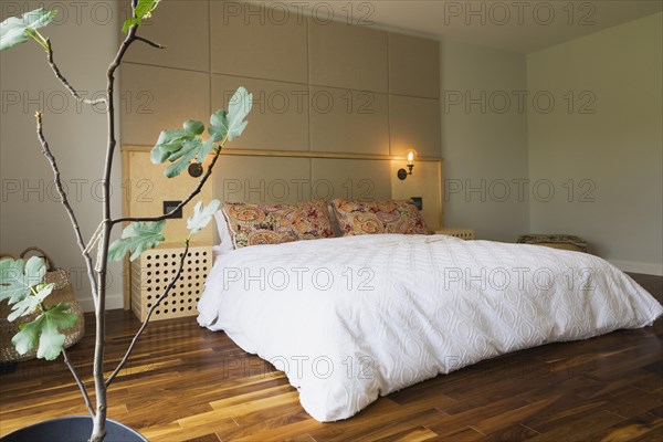 King size bed covered with white bedspread in bedroom with American walnut hardwood flooring on