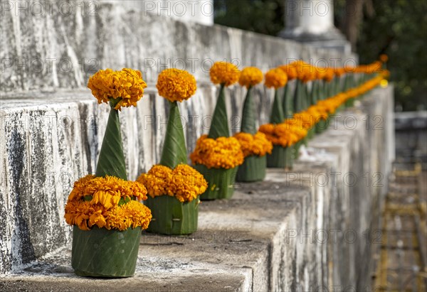 Orange-colored marigold flowers used to pay respect and homage to Buddha, Wat Wisunarat temple,