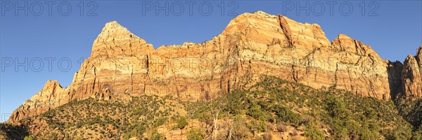 Watchman Mountain, Zion National Park, Colorado Plateau, Utah, USA, Zion National Park, Utah, USA,