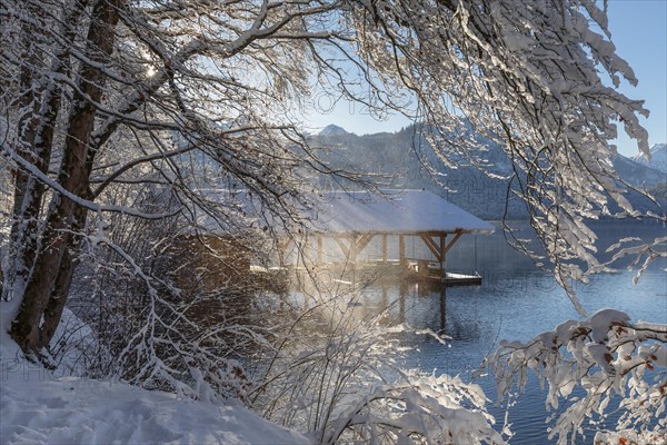 Hotel Alpenrose am Alpsee, Schwangau, Ostallgaeu, Swabia, Bavaria, Germany, Schwangau, Ostallgaeu,