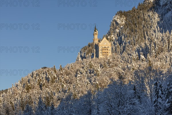 Neuschwanstein Castle, Schwangau near Fuessen, Allgaeu, Bavaria, Germany, Fuessen, Bavaria,